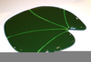 Lily Pads Clipart Image