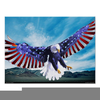 American Eagle Clipart Poster Image
