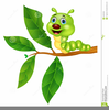 Caterpillar Eating Clipart Image