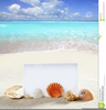 Beach Shells Clipart Image