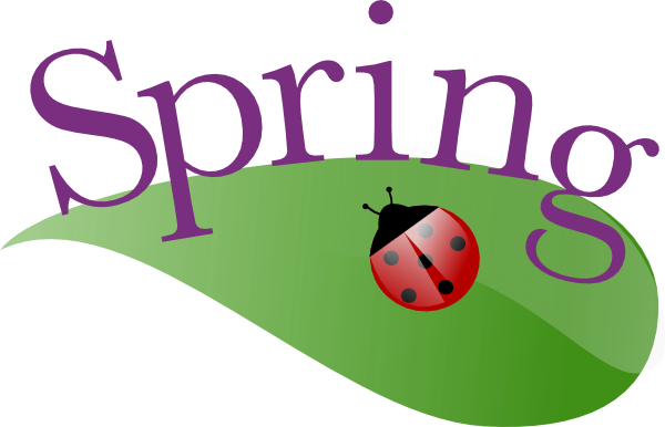 spring insects clipart - photo #3