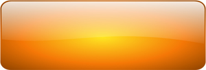 Glossy Button Blank Orange Rectangle Image