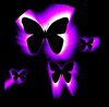 Neon Butterflies Graphics Image