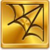 Spider Web Icon Image