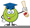Diploma Clipart Pictures Image
