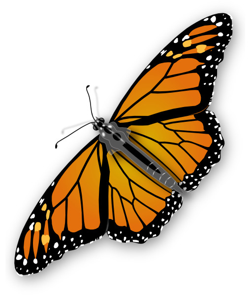 Monarch Butterfly Clip Art Clker Vector Online Png Small Medium
