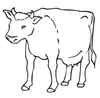 Beef Cow Clipart Image