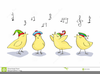 Clipart Pictures Baby Chicken Image
