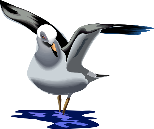 free clip art seagull cartoon - photo #7