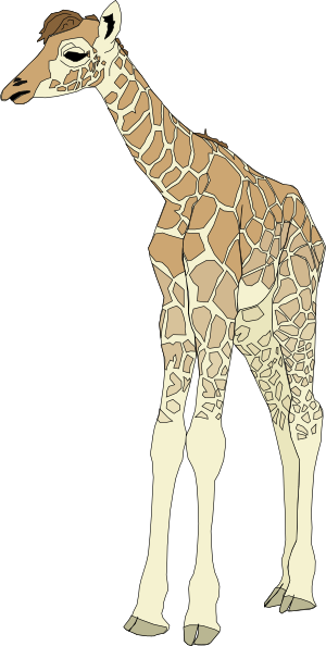 Baby Giraffe Clip Art At Clker Com Vector Clip Art Online Royalty Free Public Domain