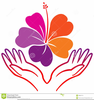 Hibiscus Clipart Images Image