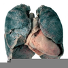 Blackened Lungs Smoking Image