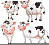Clipart Herd Of Cattle Image