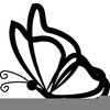 Png Clipart Butterfly Pack Image