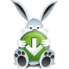 Download Bunny Image