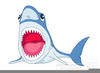 Shark Clipart Graphics Image