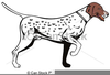 Gsp Clipart Images Image