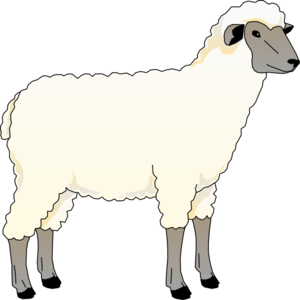 Kambing Clipart Sheep Side View Clip Art Clker Vector Online