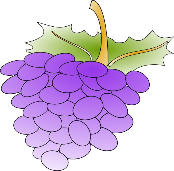 clipart of grapes - photo #35