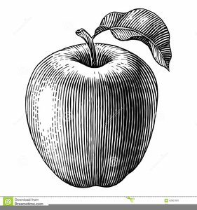 apple clip art black and white