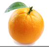 Orange Fruit Photos Image