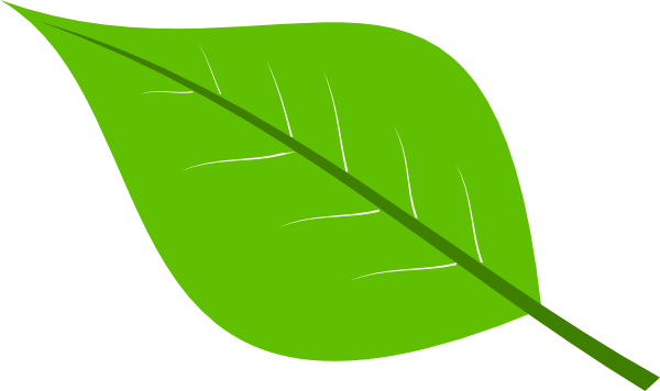 leaf clipart transparent - photo #5