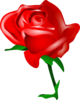 Redrose Clip Art Clip Art