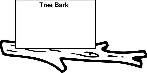 clipart tree bark - photo #45