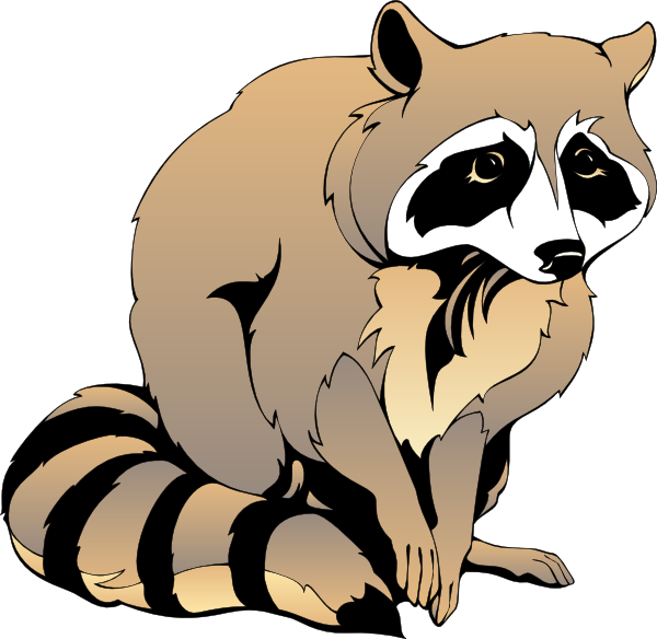 cartoon raccoon clipart - photo #1