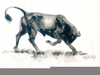 Charging Bull Drawing Image