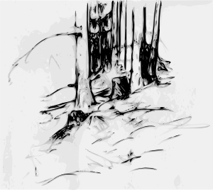 Forest Trees Oberzeiring2004 Clip Art