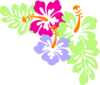 Hibiscus Corner Clip Art