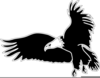 Flying Eagle Clipart Image