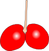 Cherry Double Clip Art