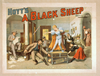 Hoyt S A Black Sheep Image