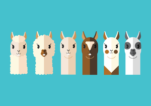 Llama Clipart And Graphic Image