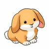 Free Holland Lop Clipart Image
