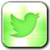 Twitterkickstartergreen Image