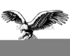Clipart Of Eagle Soaring Image