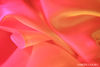 Orange Pink Abstract Photo Image