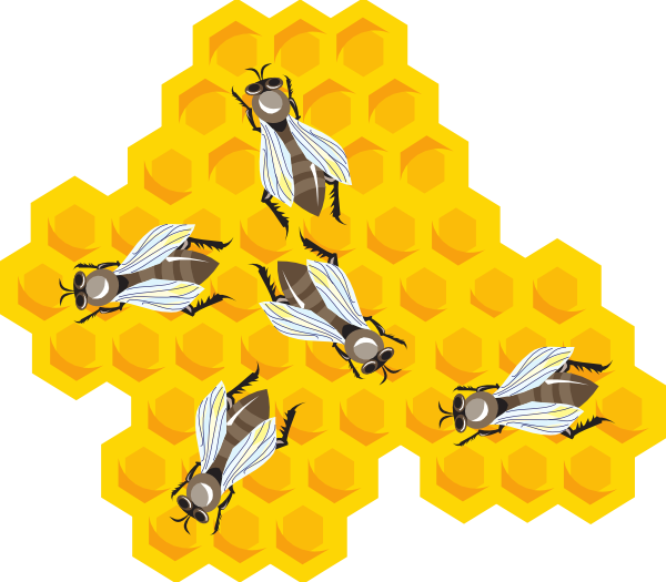 clip art honey bee hive - photo #49