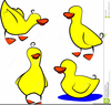 Ducks In A Row Free Clipart Image