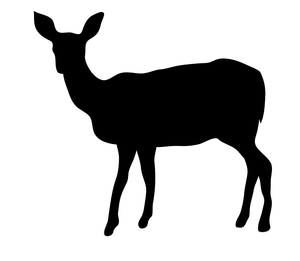 Deer Clipart Funny Image