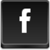 Facebook - Small Icon Image