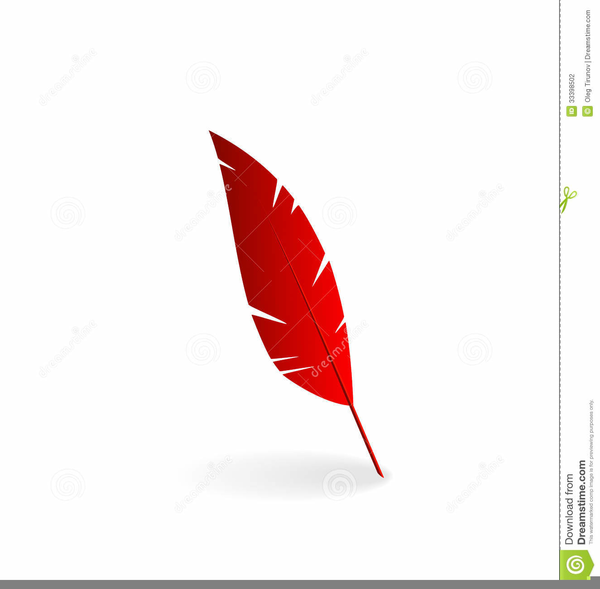Cartoon Feathers Clipart | Free Images at Clker.com - vector clip art