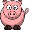 Pig Image