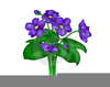 Free Clipart Of Violets Image