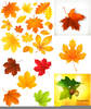 Autumn Leaves Clipart Image