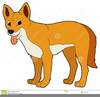 Animated Coyote Clipart Image