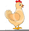 Animated Clipart Chickens Image